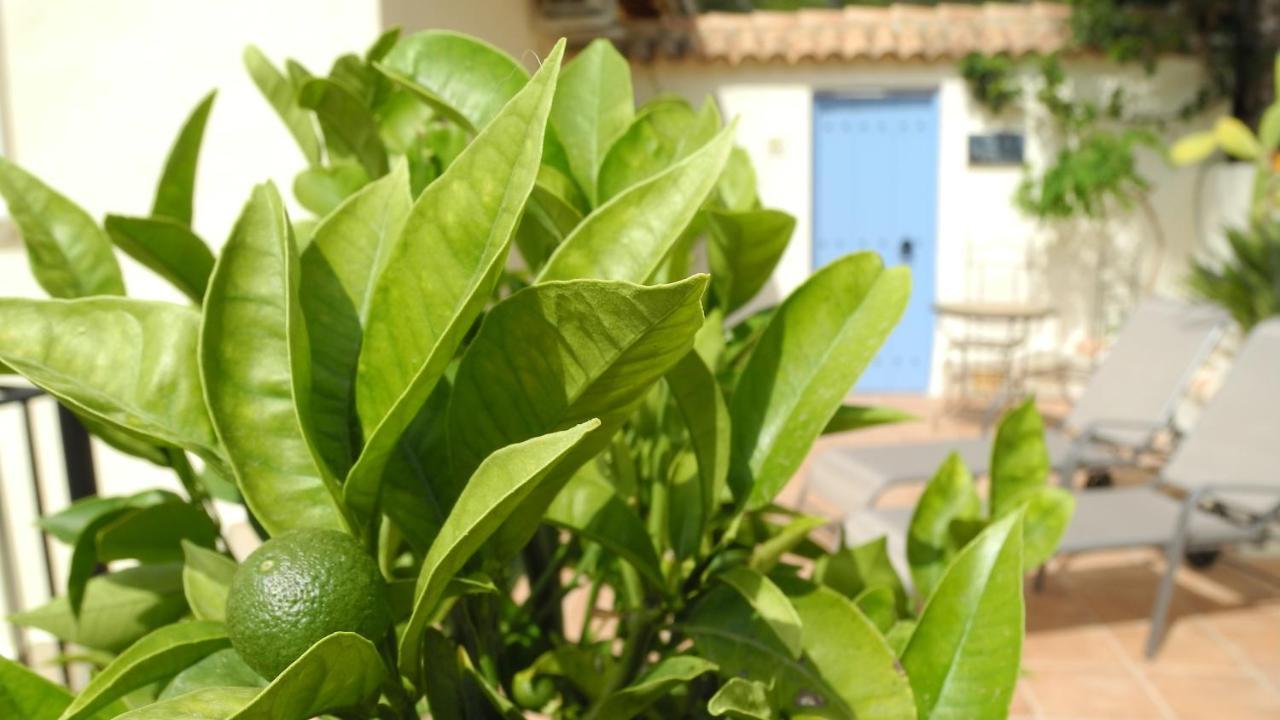 Lliber Casa Romero מראה חיצוני תמונה